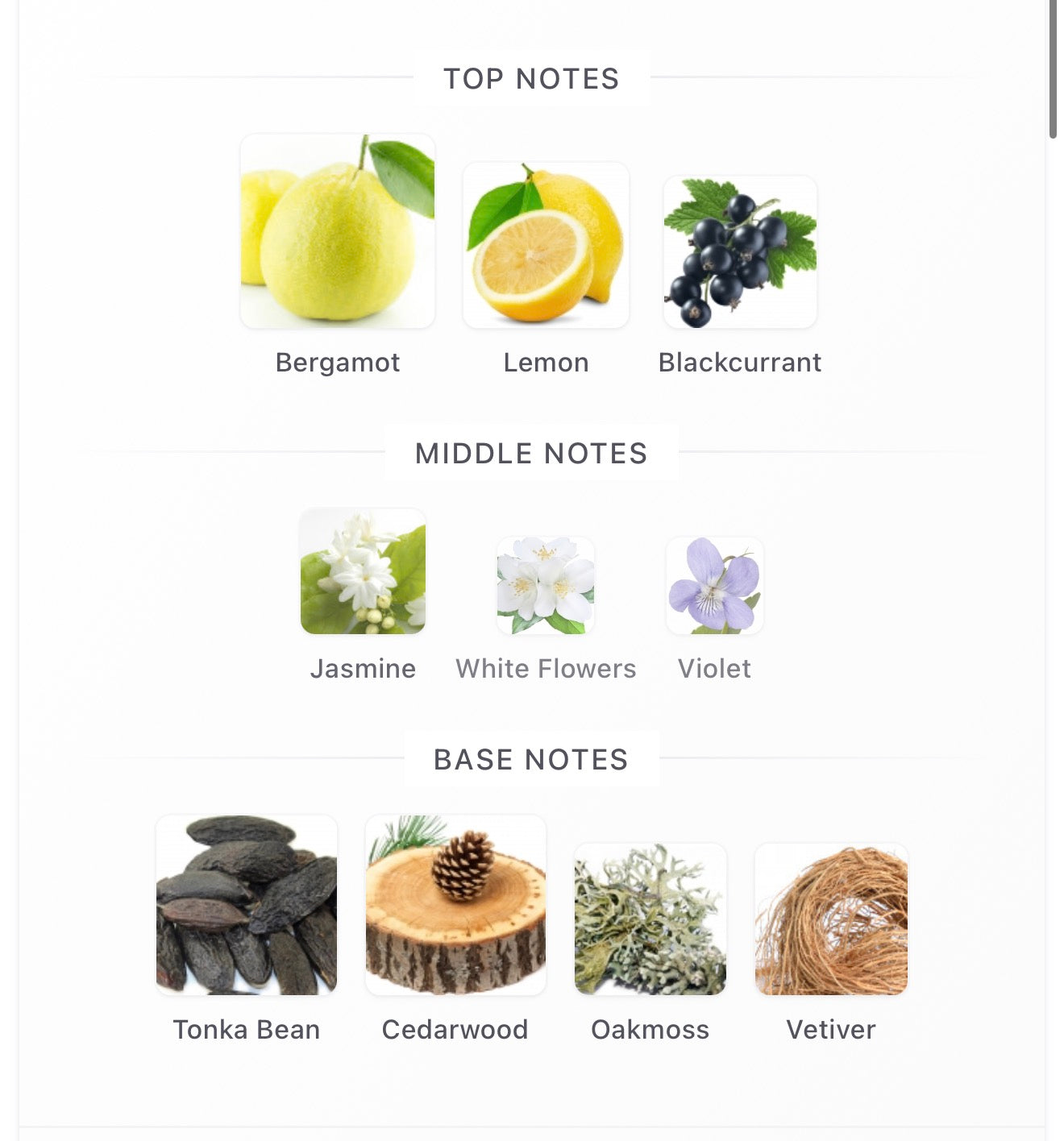 Aroma Concepts Echelon Soleil