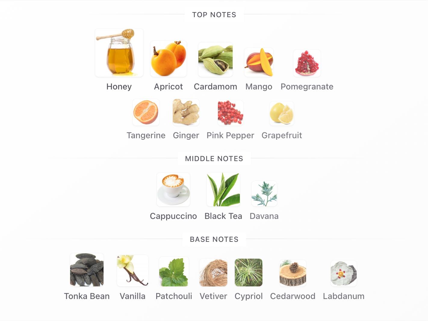 Amouage Elsewhere