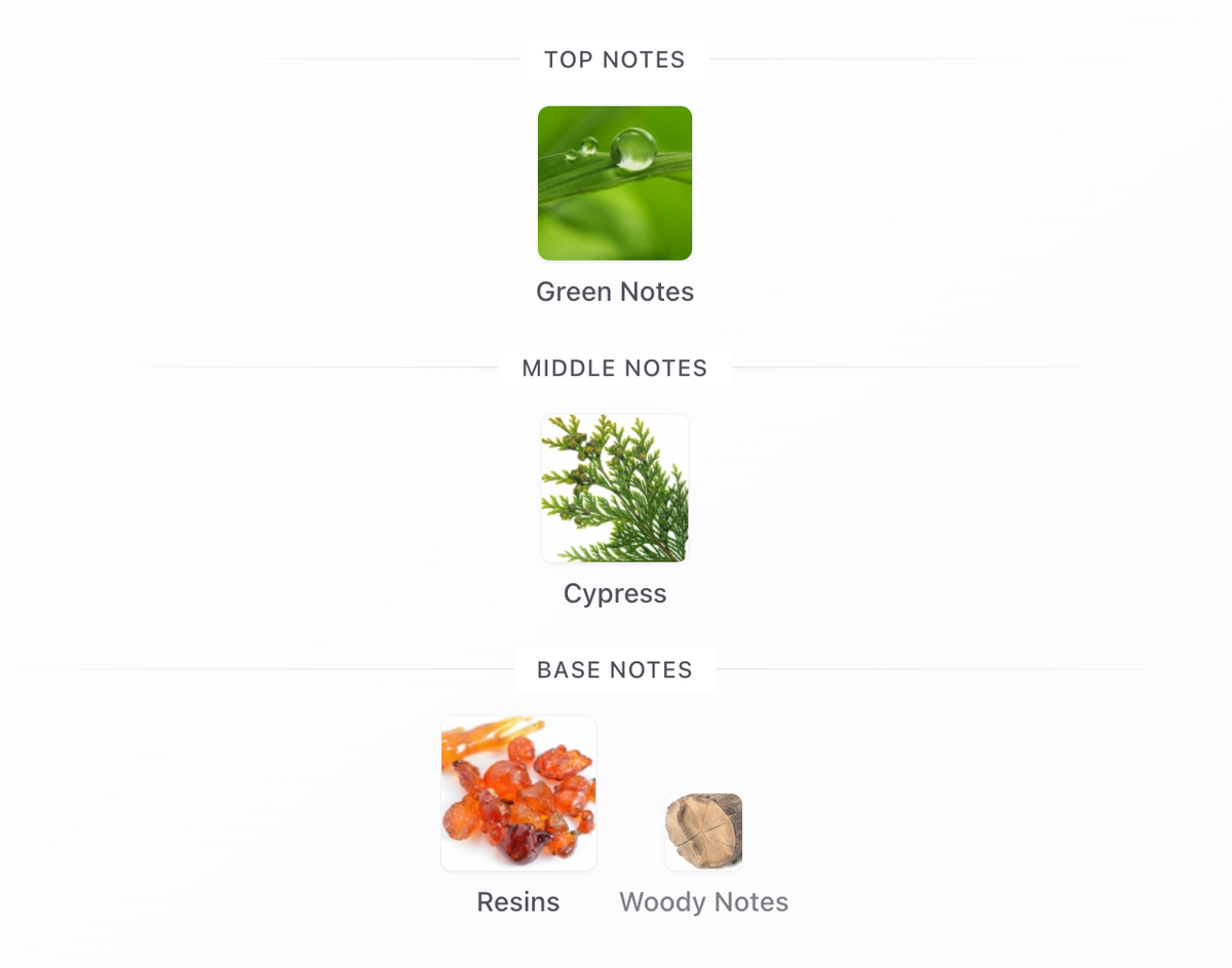 Balenciaga No Comment