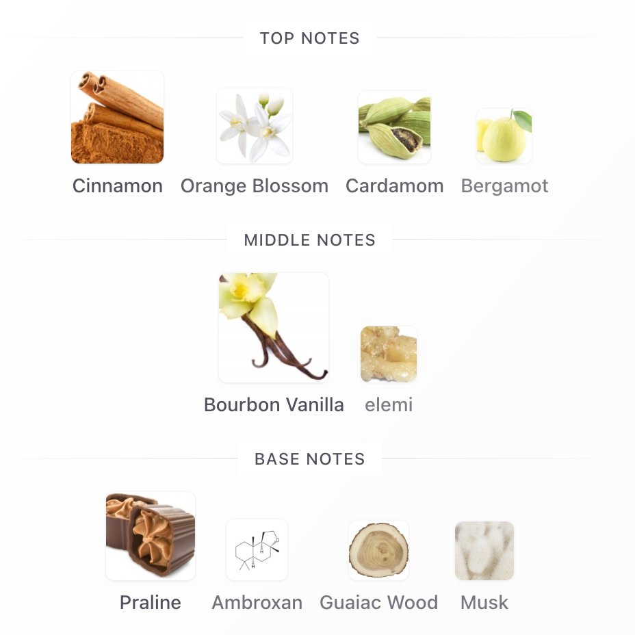 French Avenue Liquid Brun