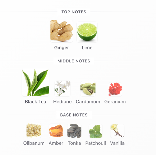 Aromatix Teas Me