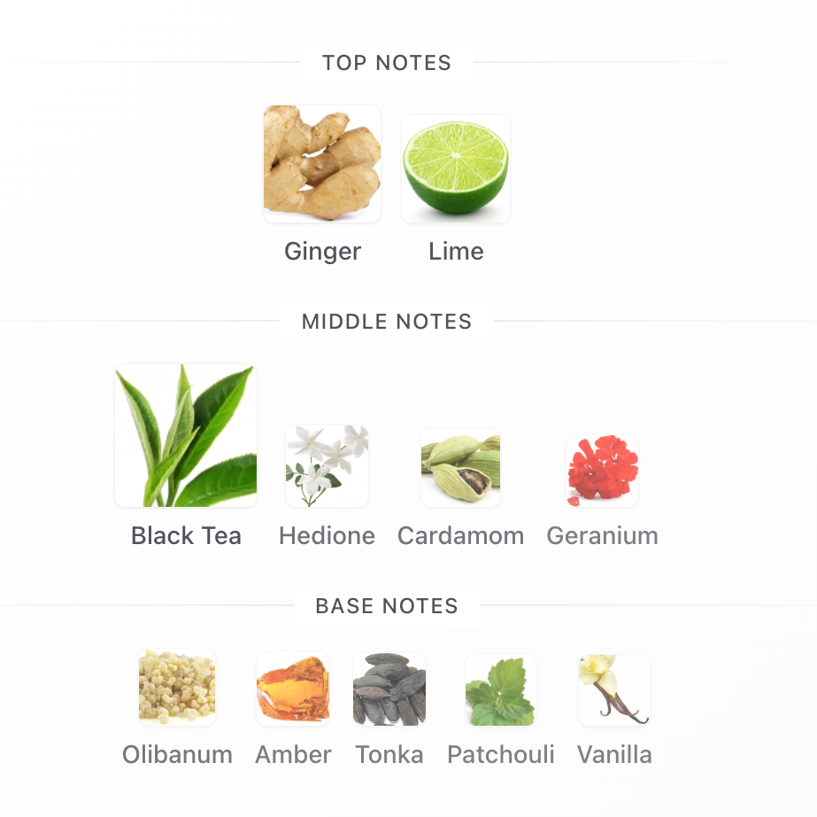 Aromatix Teas Me