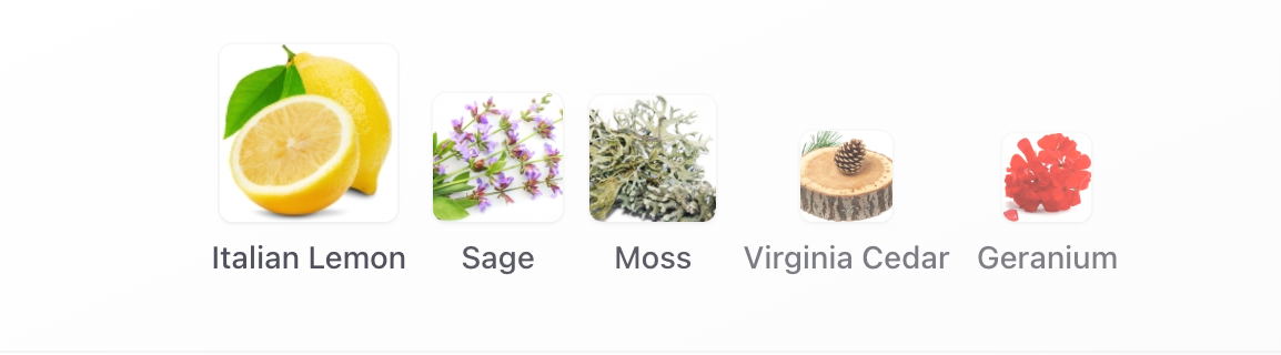 Goldfield & Banks Pacific Rock Moss