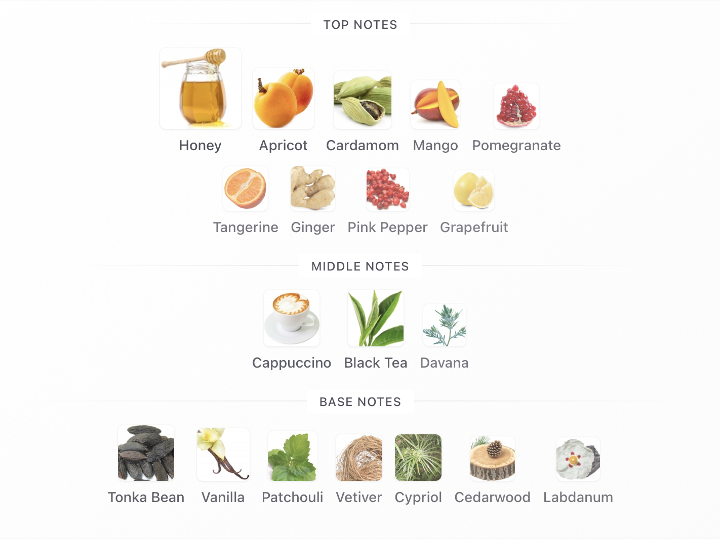 Amouage Elsewhere